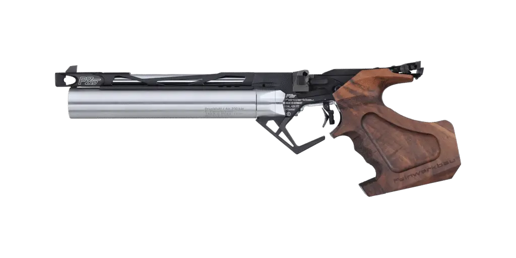 image_accueil_pistolet